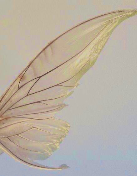 MacheadHeaven's tweet photo. These are my wings https://t.co/dx1kizbLWE