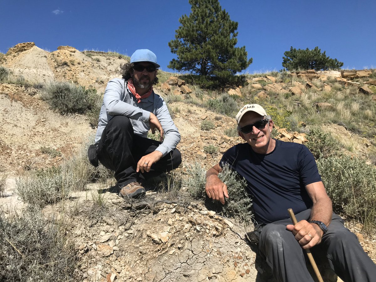 Last but not least, special thanks to my good friends  @gpwilson11 &  @ucmpberkeley’s Mark Goodwin for their help w our dig, logistics, and sharing their encyclopedic knowledge of the Hell Creek with me and my  @ROMToronto crew. Lots more research to come.  #PrehistoricRoadTripPBS
