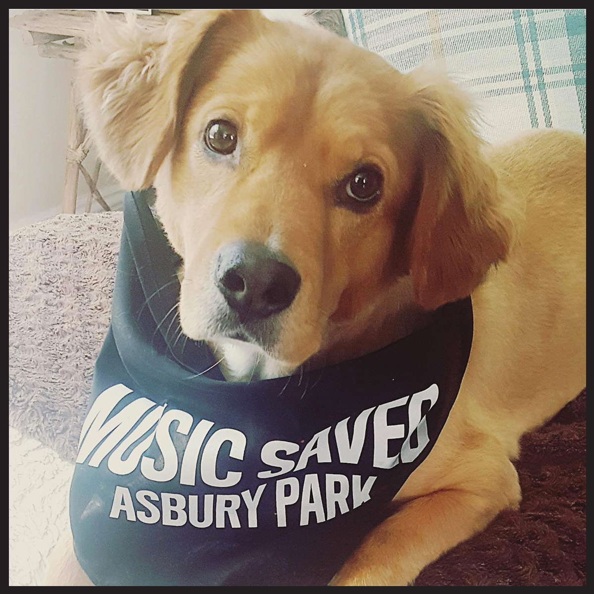 Make no bones about it, our bandanas are the perfect accessory for your canine pal! Better yet, grab one for yourself and together, you can match like the best friends you are, all while supporting Asbury Park’s youth music education programs.  bit.ly/3eAJ4eA
