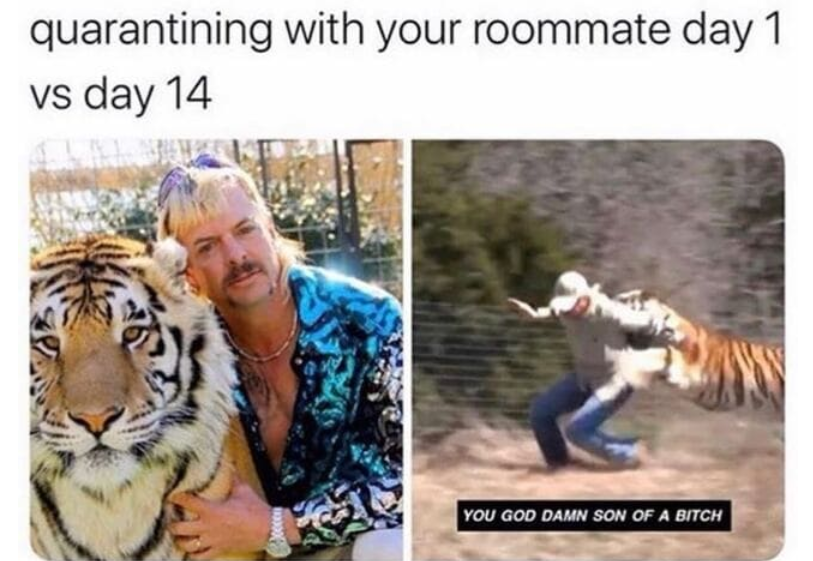 MediaExotic1's tweet photo. On a scale of one to that tiger, how crazy has quarantine made you??
#freejoeexotic #joeexotic #helpfreejoe #meme #quarantine #stillinquarantine #pandemic #besafe https://t.co/s60LVlG4kA