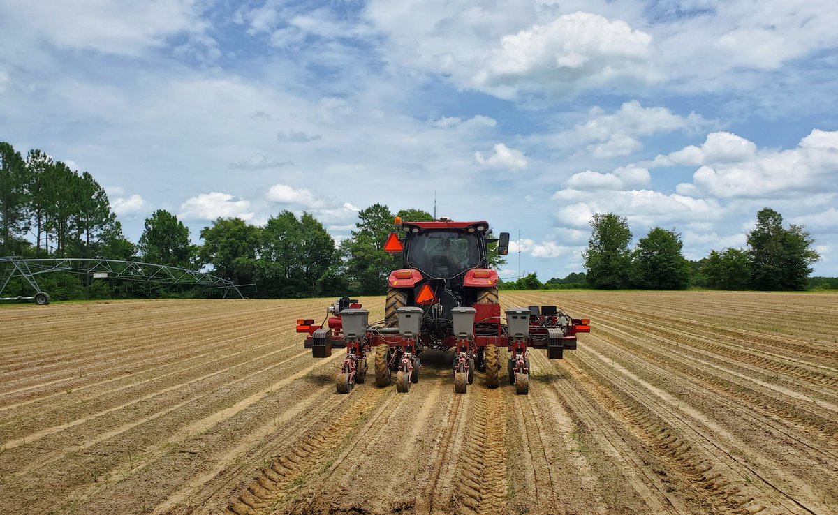 PrecAgEngineer's tweet photo. Planted cotton #seedconfiguration #seedingrate #speed #soilmoisture studies today to finish #plant2020. Look forward to analyze field and as-planted data to assess #precisionplanter performance under different #plant scenarios!! @precisionplant @Case_IH @GAPrecisionAg @uga_ag https://t.co/NjIGaO9Mca