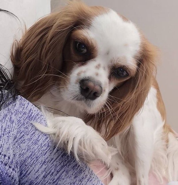 Hayvanlara, bitkilere verdiğin emek ve sevginin karşılığını fazlasıyla alırsın. İnsanlardan bunu beklemek yanılsamadır👈🏻