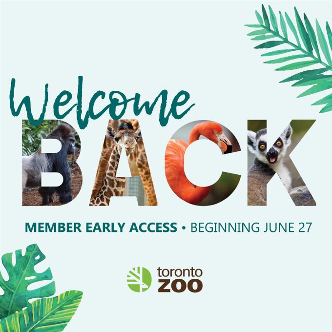 Lynngate Junior Public School