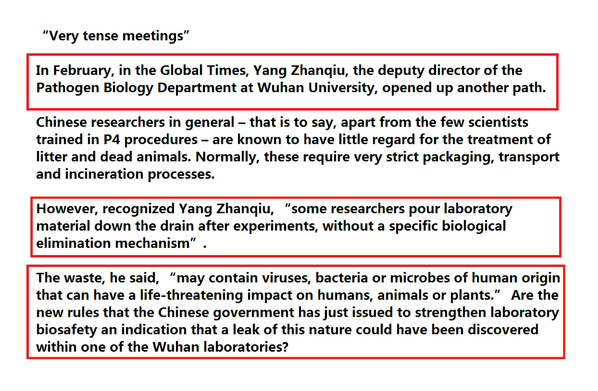 Time for Sleep! What do you make of this?“Very tense meetings”Yang Zhanqiu, deputy director of the Pathogen Biology Department at Wuhan University:“some researchers pour laboratory material down the drain after experiments, without a specific biological elimination mechanism”