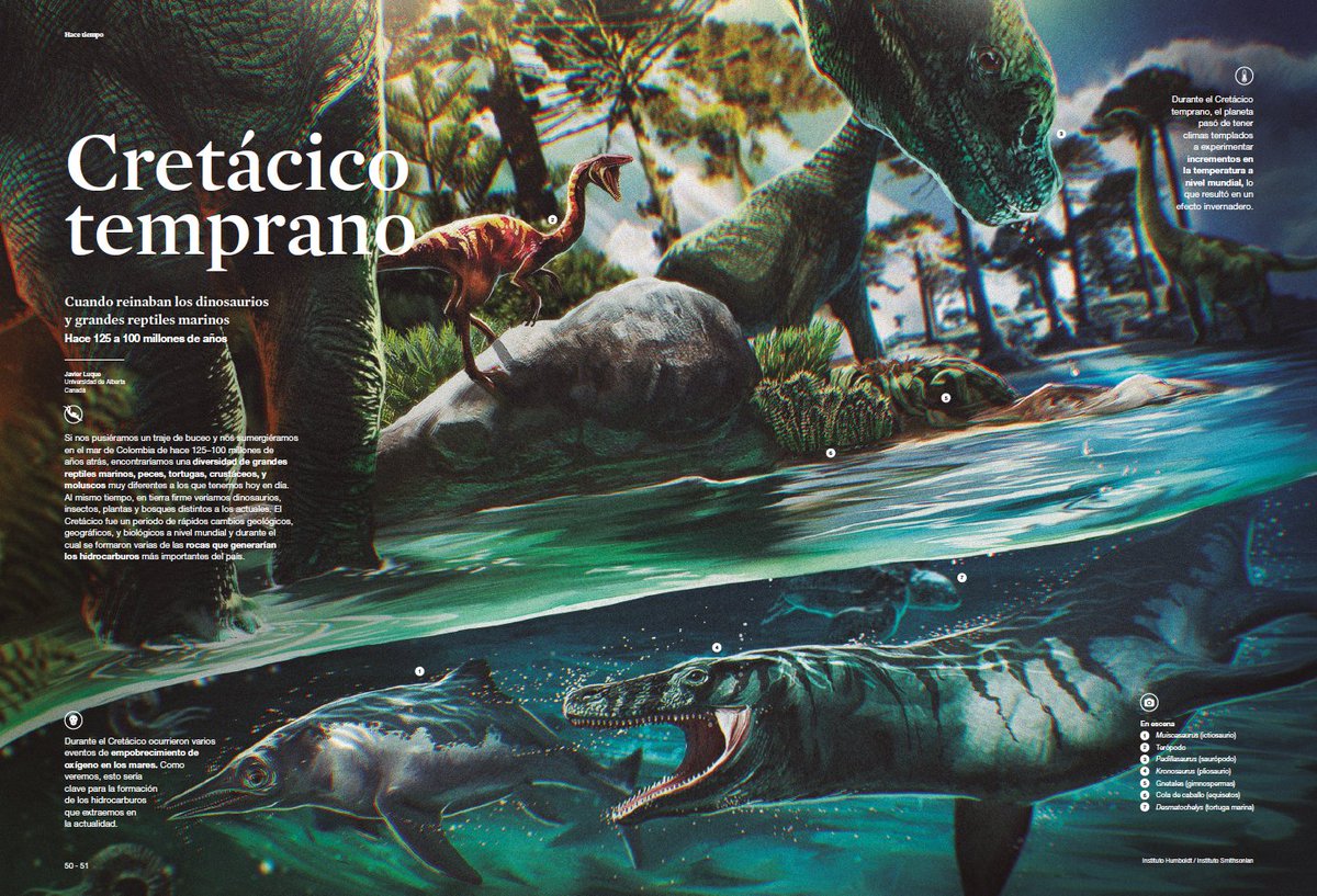 Cuando pensamos en fósiles de Colombia quizá imaginamos a Titanoboa, las amonitas y grandes reptiles marinos del Cretácico ¡Pero estos son solo una pequeña fracción de nuestra pasada diversidad! ¿Qué otros organismos vivieron acá antes y en dónde se encuentran?  #ElDesparche 2/16