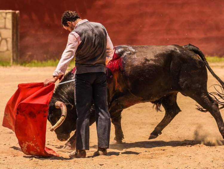 ElMuletazo's tweet photo. 📰 “RAFAELILLO”; RESURRECCIÓN EN EL LEVANTE
🔹El torero murciano protagoniza un exigente tentadero en la ganadería de Daniel Ramos.
➡️ https://t.co/MdCM6bBiUh https://t.co/H0zxWvGcK7