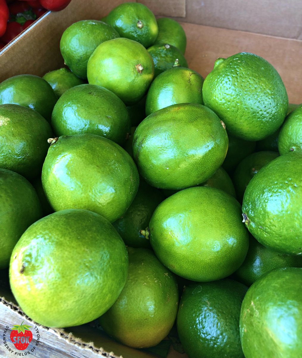 TheFieldsByTBF's tweet photo. Ours are always fresh and juicy! Limes are high in vitamin C and antioxidants. Eating limes or drinking the juice may improve immunity, reduce heart disease risk factors, prevent kidney stones, aid iron absorption, and promote healthy skin.

#lime #limes #freshproduce #sfok https://t.co/7mDySk93tx