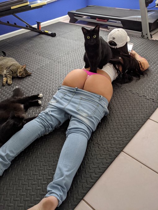 Even the cats are obsessed with the booty! 🤣 @XBaileyBrookeX #baileybooty https://t.co/xP3hchgHS7