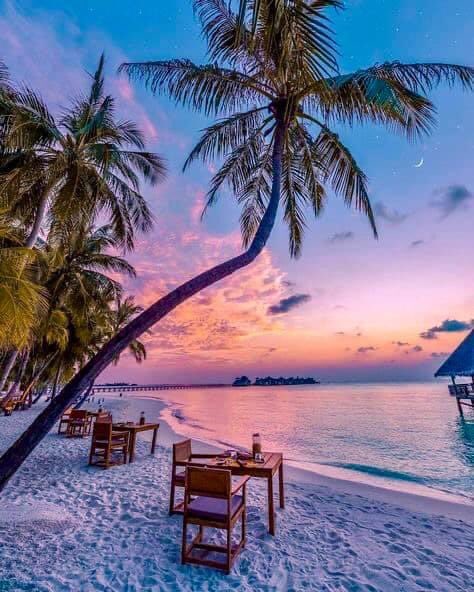 RealRayCrum's tweet image. Trading during the day, relaxing during the night