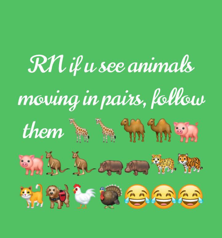 nanapoku__'s tweet photo. guys be on the lookout wai na this year de33 

#earthtremor https://t.co/rIu7Ng4tkW