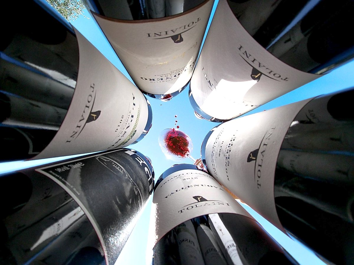 I nostri vini, tutti molto diversi, ciascuno con la propria personalità, ma ognuno in grado di esaltare al meglio l'unicità del nostro terroir! 🍇🍷
Our wines, different from each other, each one with their own personality, but all of them enhance the uniqueness of our terroir!