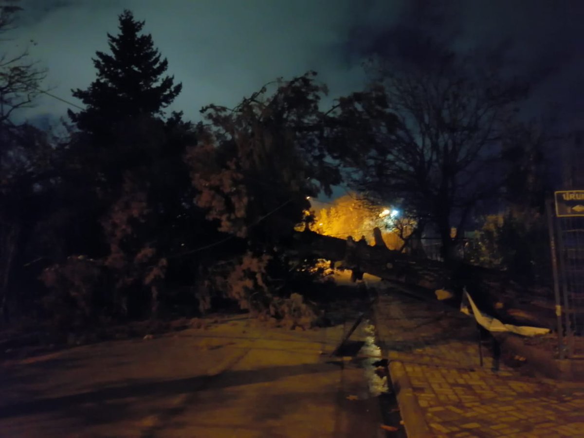 imagenfm's tweet photo. Debido al fuerte viento en la Provincia Comuna de Puente Alto se desploma árbol. Bomberos trabaja en el lugar Uruguay con Contanera. https://t.co/hQrpiZmjfg