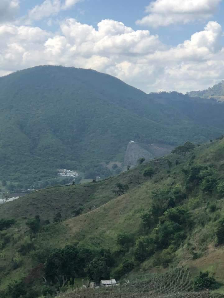 jasantos053480's tweet image. atención @Osirisdleon @EvelinPlacidoAl hoy estuve en la comunidad de el naranjal de san José de ocoa y se ve la maneras como estan desforestando la montaña de ocoa para sembrar aguacate, eso tiene que ver muchos con la sequía de los río de ocoa