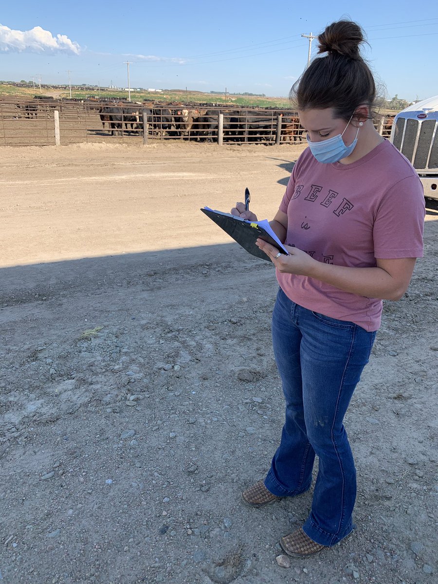 AdamsCattle's tweet photo. As part of our commitment to #animalwelfare & #foodsafety, we participate in quality programs like #ProgressiveBeef. Throughout the year, we have 3rd party audits & verification to ensure our practices, training & end product are at the highest level of quality for our consumers. https://t.co/hBCVyCQfkJ