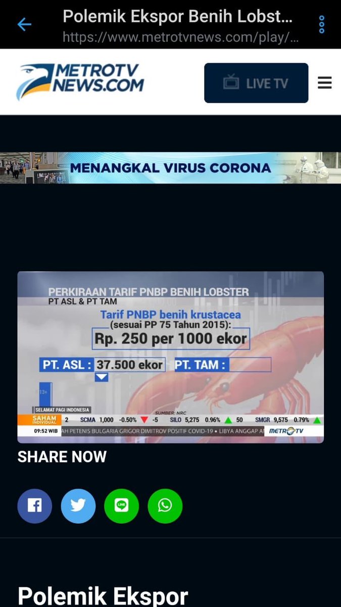 susipudjiastuti's tweet image. PNBP ekspor Bibit Lobster Rp 250 per 1000 ekor .. satu kali ekspor dapat satu bungkus rokok masuk ke Rekening Negara