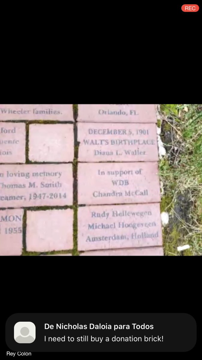 ExpertoEnORL's tweet image. Thanks for the invitation ✨ @WDBirthplace #WDBVirtualTour