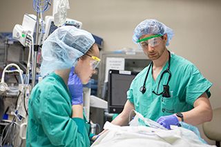 🗳️  The nominations she received were overwhelming in both quantity and praise. 

🍎  In two years she went from resident mentee to faculty mentor who was often sought out by our 30+ residents. 

🏆  She is Dr. Kristin Wakin, Teacher of the Year.  buff.ly/2ZkWWU3