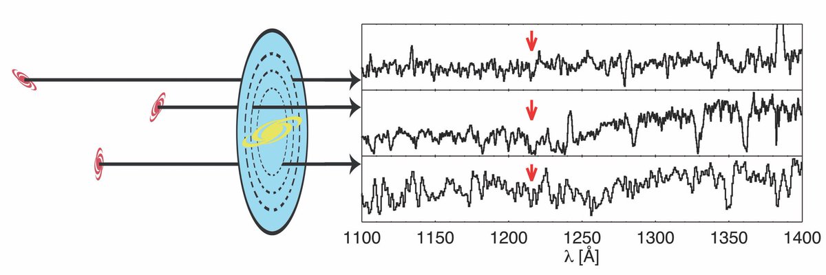 The spectrum of each background galaxy is a probe to the CGM of the foreground galaxy. Though the foreground galaxies are not always the same, if the galaxies are similar, in a statistical way, you can think of this as an IFU observation of Lya but in absorption.