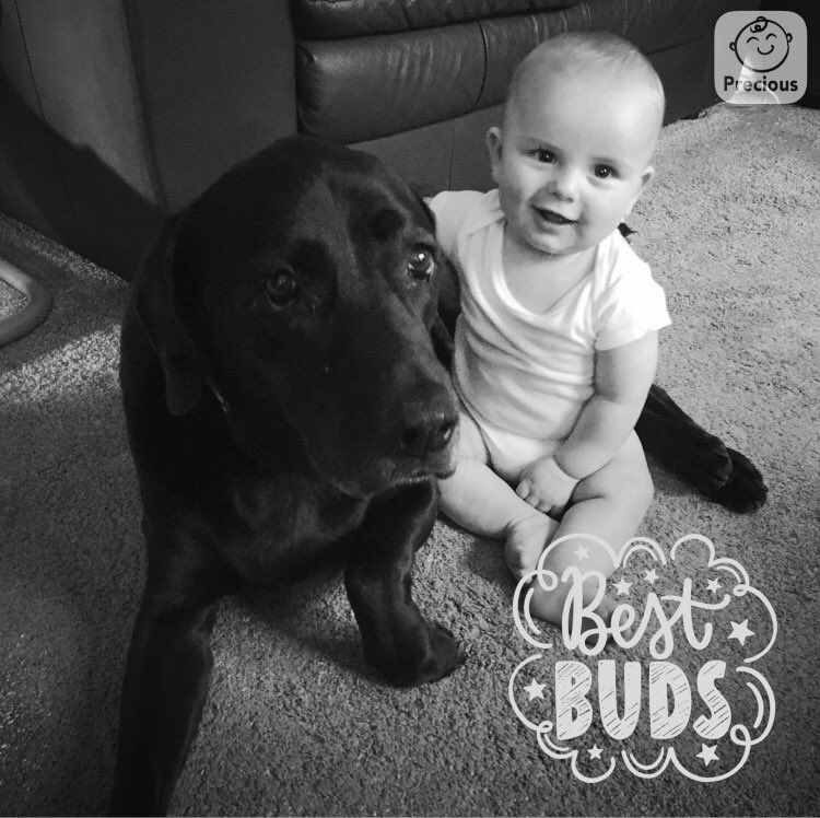 Stacey_Parr1's tweet photo. This sweet boy loves his Sadie!!! https://t.co/Ils7xxG4Em