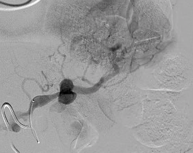 Dan Brown tweet media