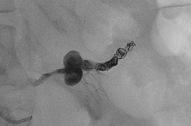 Dan Brown tweet media