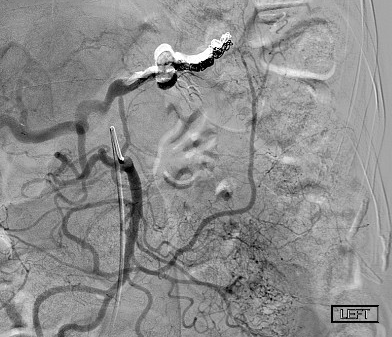 Dan Brown tweet media