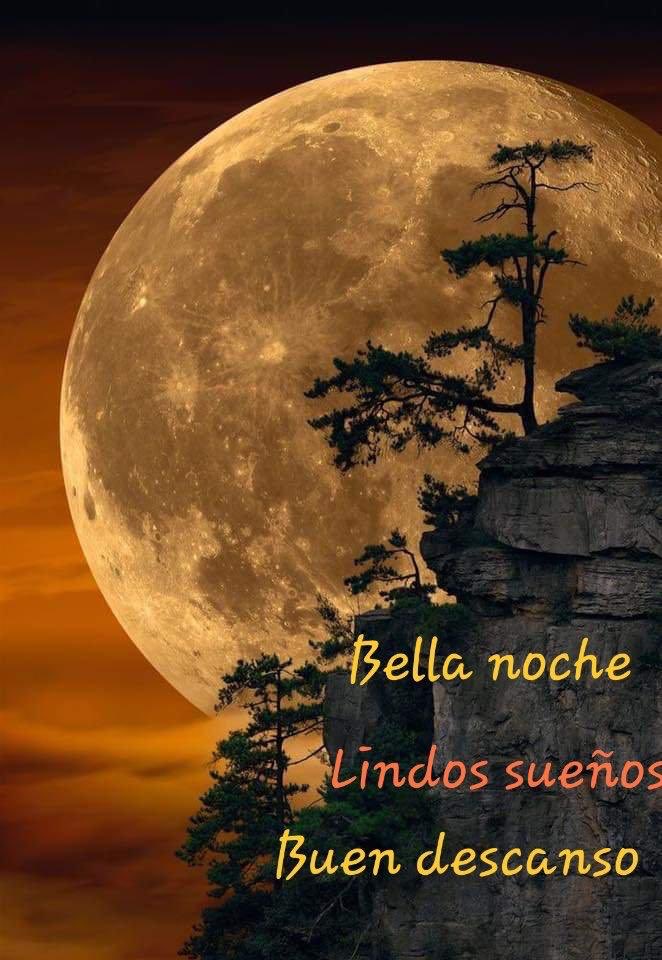 Lety в „@Lore0 Buenas noches, descansa 🙏🏻😴 https //t.co/sU8L8HGngz“ / lety