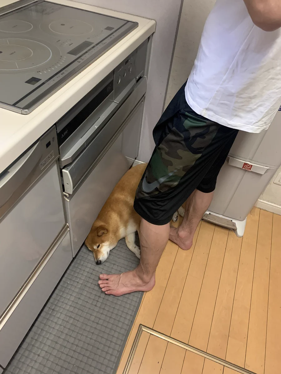 大好きな人の側だと安心する？狭くても足元にやって来て眠る犬が可愛すぎる！