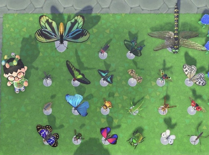 owonavii's tweet photo. Bug Themed Giveaway!!🦋🐛🐞
22 Bug Models will be given to the winner!!
To enter:
•Follow @AhgaseACNH 
•Like + RT
•Tagging a friend is optional!
Good Luck!🐝 https://t.co/RhAvrtRjLL