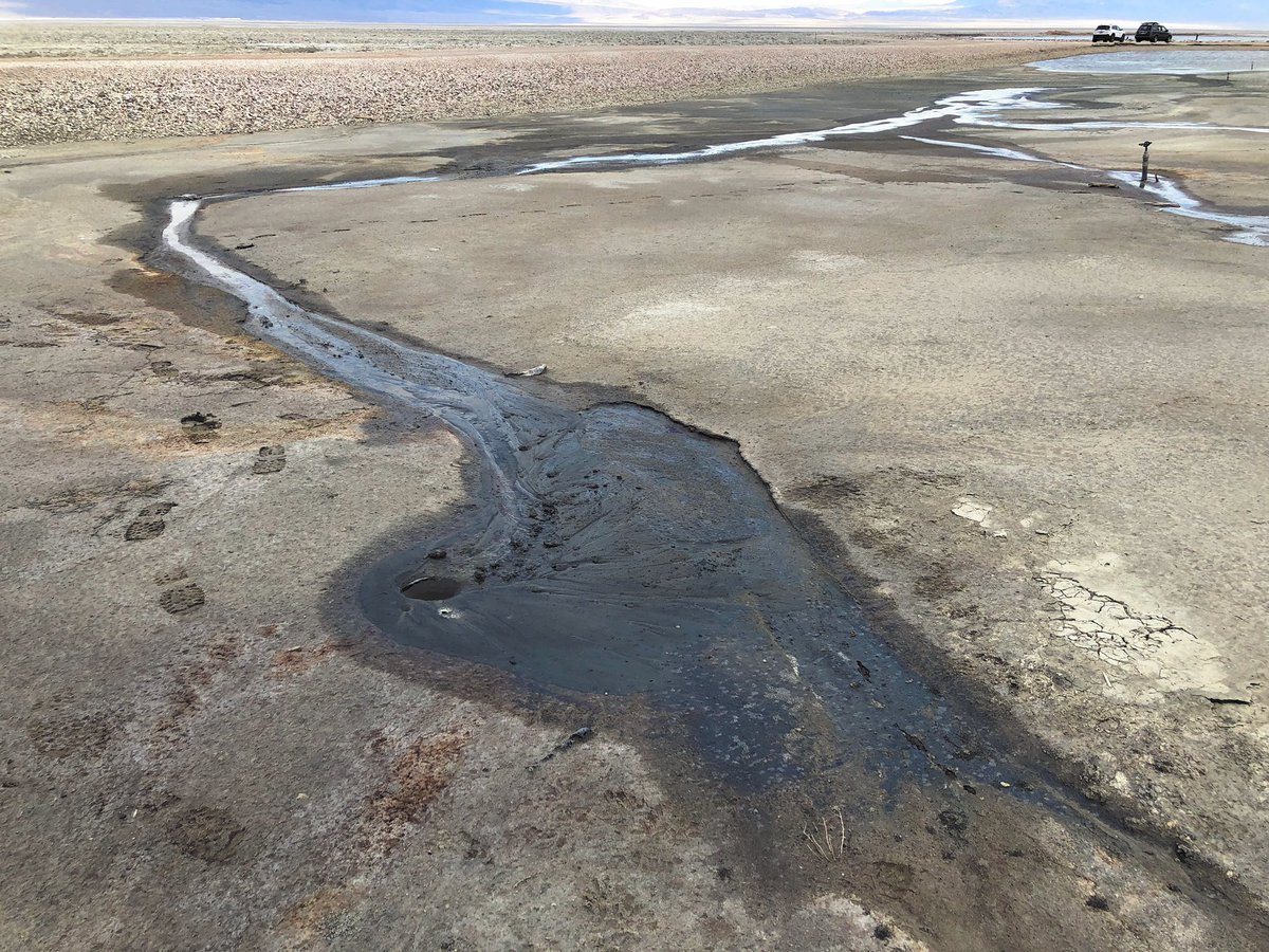 Found some small sand boils out on northwest portion of the lake. Many of them seemed aligned along N10W to N-S. Interesting?  #OwensLakeEarthquake 2/