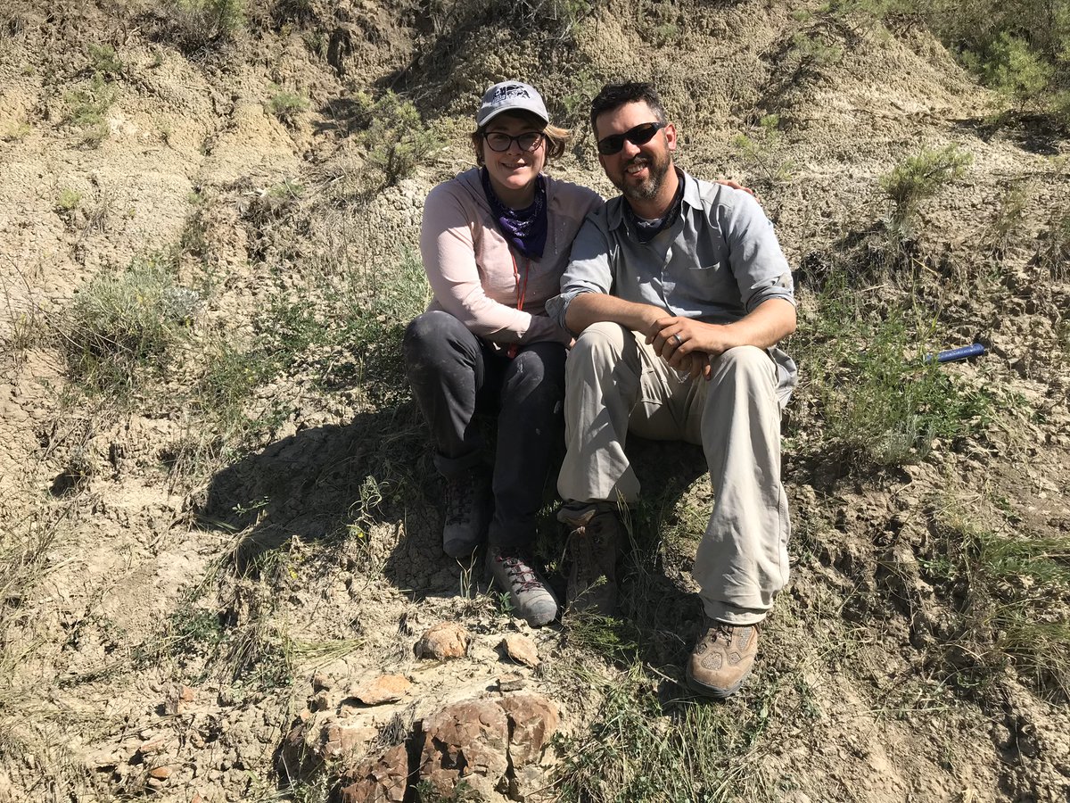 On the SECOND LAST DAY of our first field season, paleo-artist extraordinaire Danielle Dufault  @MesozoicMuse, who was prospecting w @ashionyx, found this HUGE rounded ball of bone sticking out of the rock in the badlands.  #PrehistoricRoadTripPBS