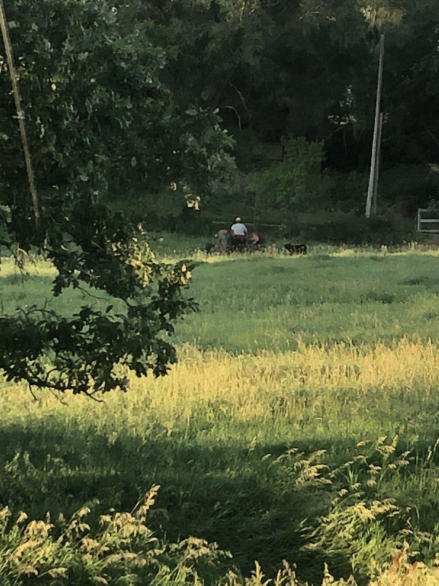 zoerbfarms's tweet photo. Is that @mitch_feldman out leading a calf with a tractor? #4Hproject https://t.co/0gFMduoAPG