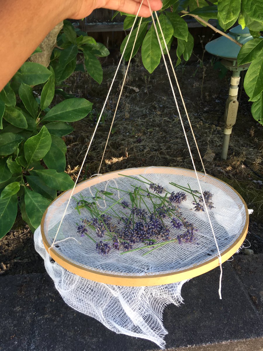 My garden makes me happy. #blackgardener #growyourown #lavender #herbdrying