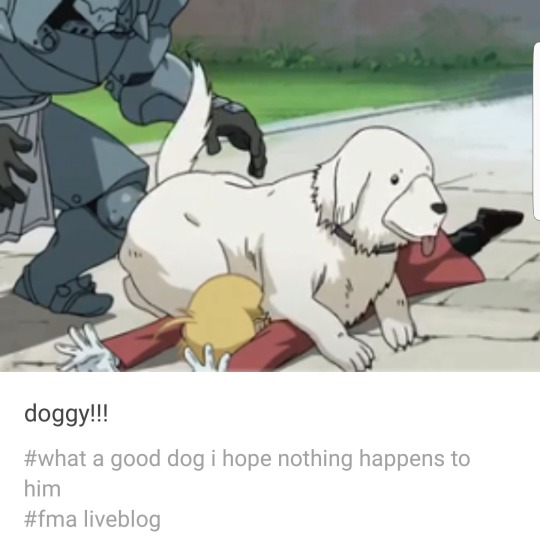 ClefableTable's tweet image. 