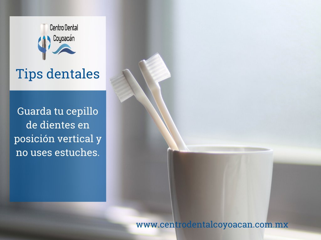 cuidatusonrisa1's tweet photo. #TipsDentales Guarda tu cepillo de dientes en posición vertical y no uses estuches.https://t.co/XzBfGNbtTJ https://t.co/cMvyoYw0tU