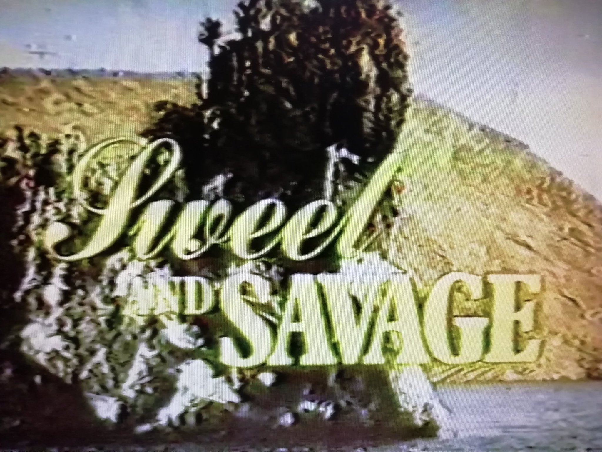 クロケット 劇場で見て以来 残酷ドキュメント カランバ を見た ライオンが人を襲う グレート ハンティグ の監督コンビの3作目 本作で話題となったジープにつないだロープで腕がもがれるシーンは一瞬だが作り物っぽく