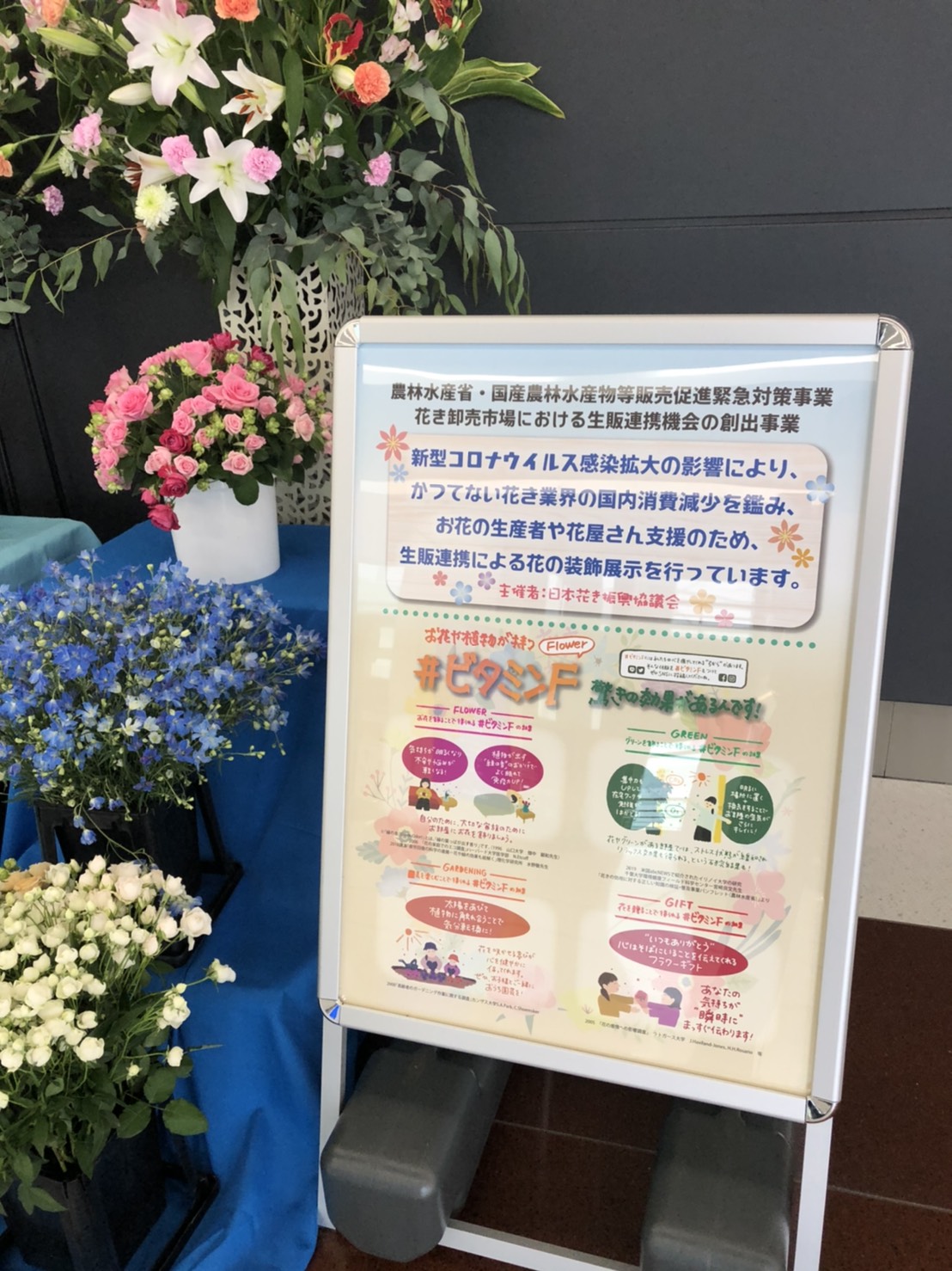 中部国際空港セントレア セントレア第1ターミナル2階の国内到着ロビーと連絡通路には色鮮やかなあいちの花が展示されてます 愛知県は花卉の生産日本一なんですよ T Co Rn3jzywpjm Twitter
