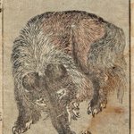 main image of this resource