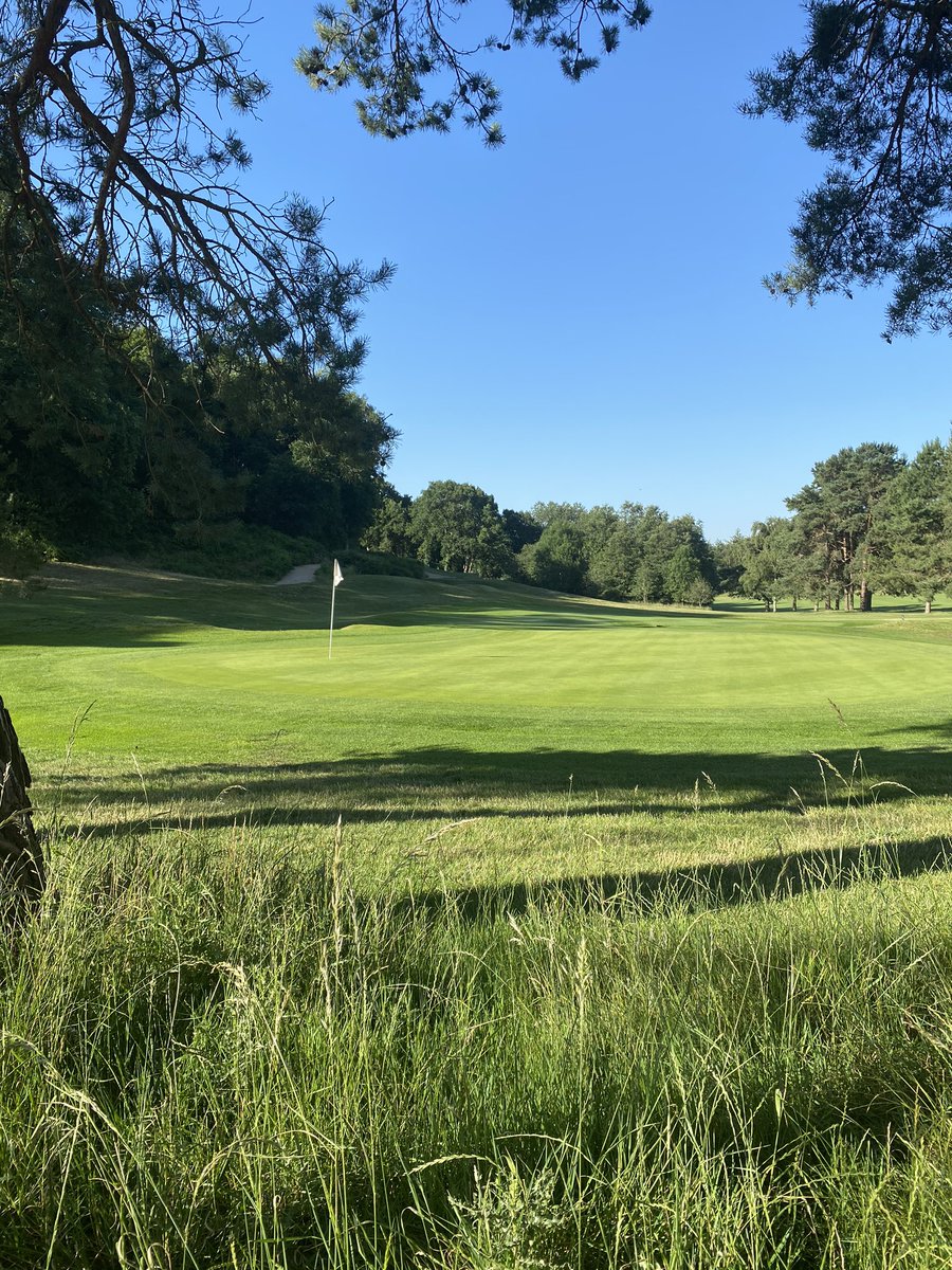 Lee Bishop tweet media