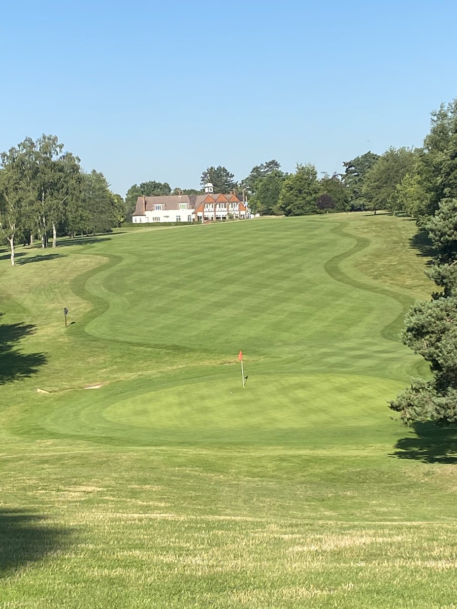 Lee Bishop tweet media