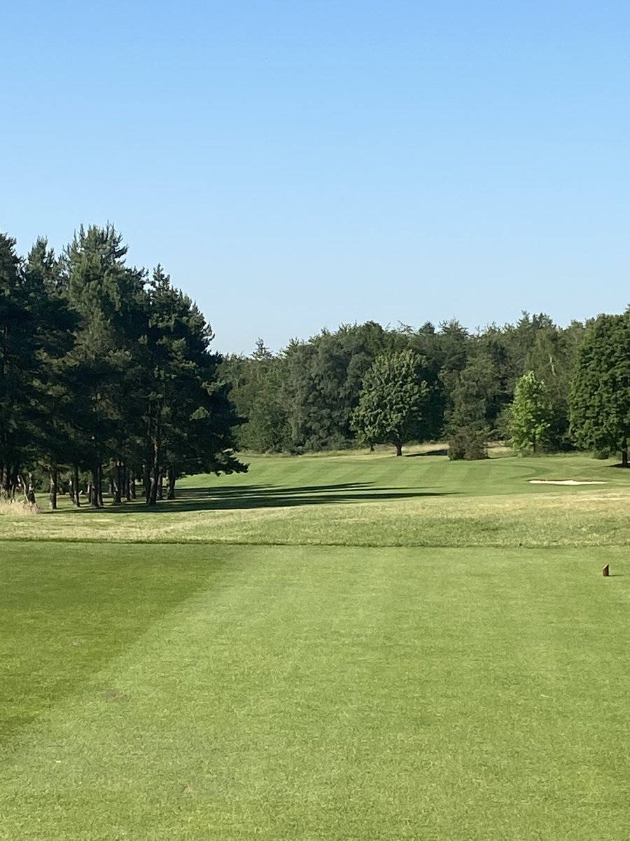 Lee Bishop tweet media