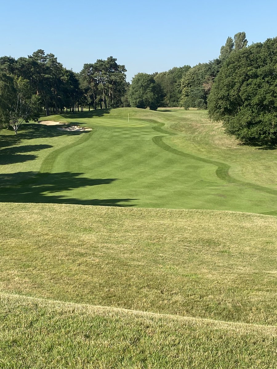 Lee Bishop tweet media