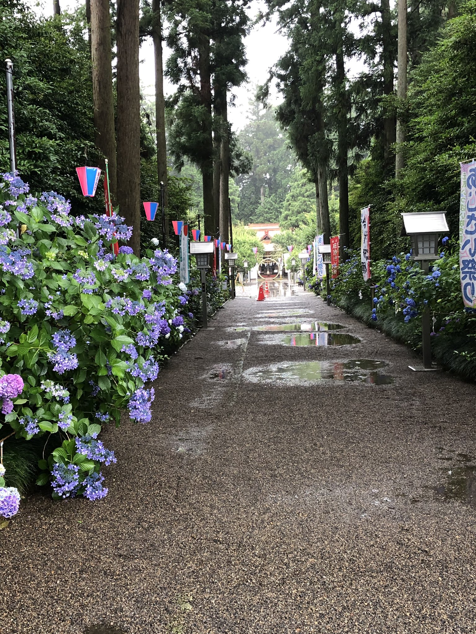 こば 芳賀天満宮のあじさい祭り 天気は雨だったけれど 雨の日の紫陽花は綺麗だなぁ 芳賀天満宮 紫陽花 T Co Ofaruepg Twitter