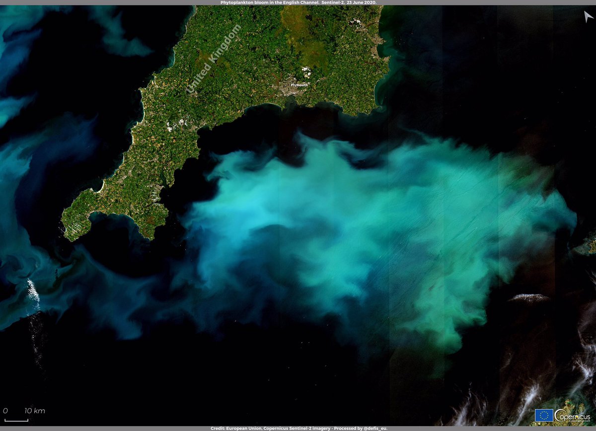 #ImageOfTheDay #EUSpace #Phytoplankton removes #CO2 from the #atmosphere & produces part of the #O2 we breathe, stabilises #climate, forms the basis of the food chain, but also provides us with beautiful satellite images🧐 #Sentinel2 🇪🇺🛰️ image of a bloom in the English Channel