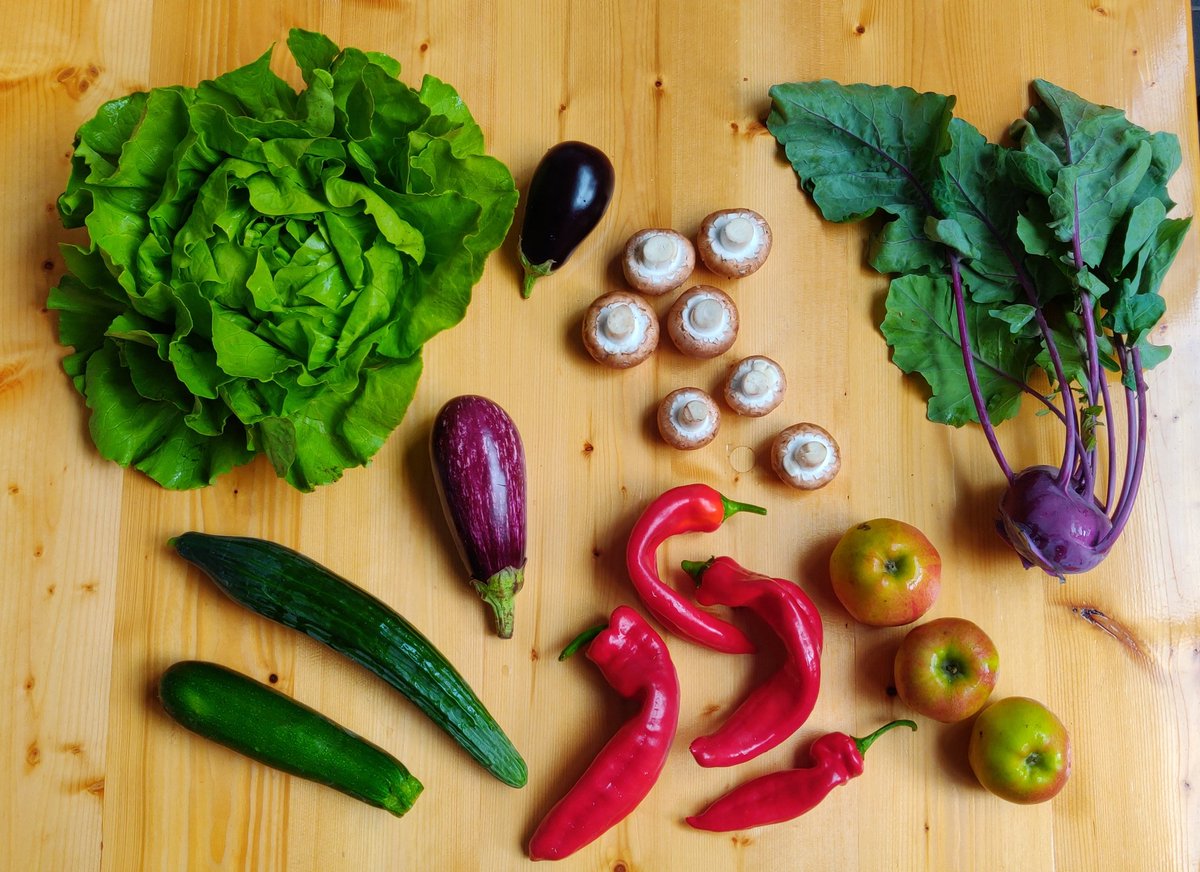 supportyourlocalsNL tweet media