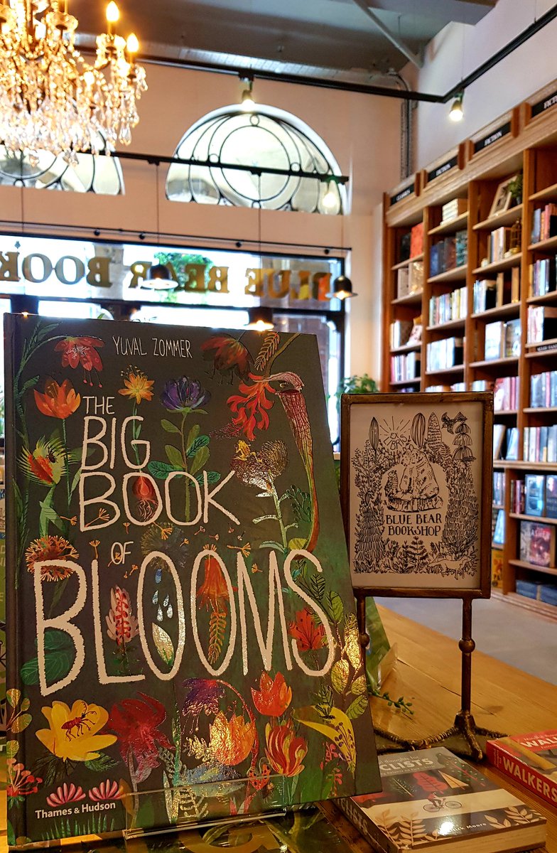 BBbookshop's tweet photo. Celebrating #IndieBookshopWeek with our favourite author's latest book @yuvalzommer ❤ https://t.co/EZlUxh6IkV