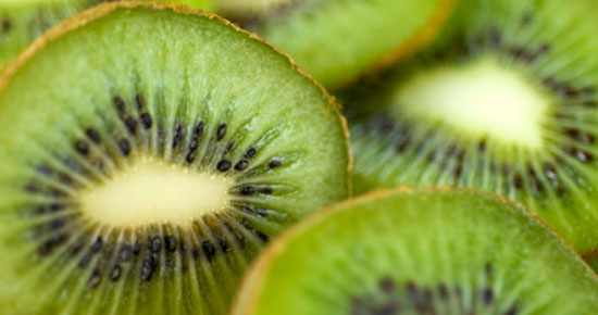 Export van #Chileense kiwi’s 🥝 naar #Europa verloopt vrij normaal. Europa blijft de belangrijkste bestemming voor de en Hayward het belangrijkste ras met meer dan 90% @SIMFRUITdeASOEX <a href="/FruitsfromChile/">Frutasdechile_us</a> <a href="/ProChile/">ProChile</a> via <a href="/agfnl/">AGF.nl</a> #Chile #Chili #Kiwi #Nederland ➡️agf.nl/article/922866…