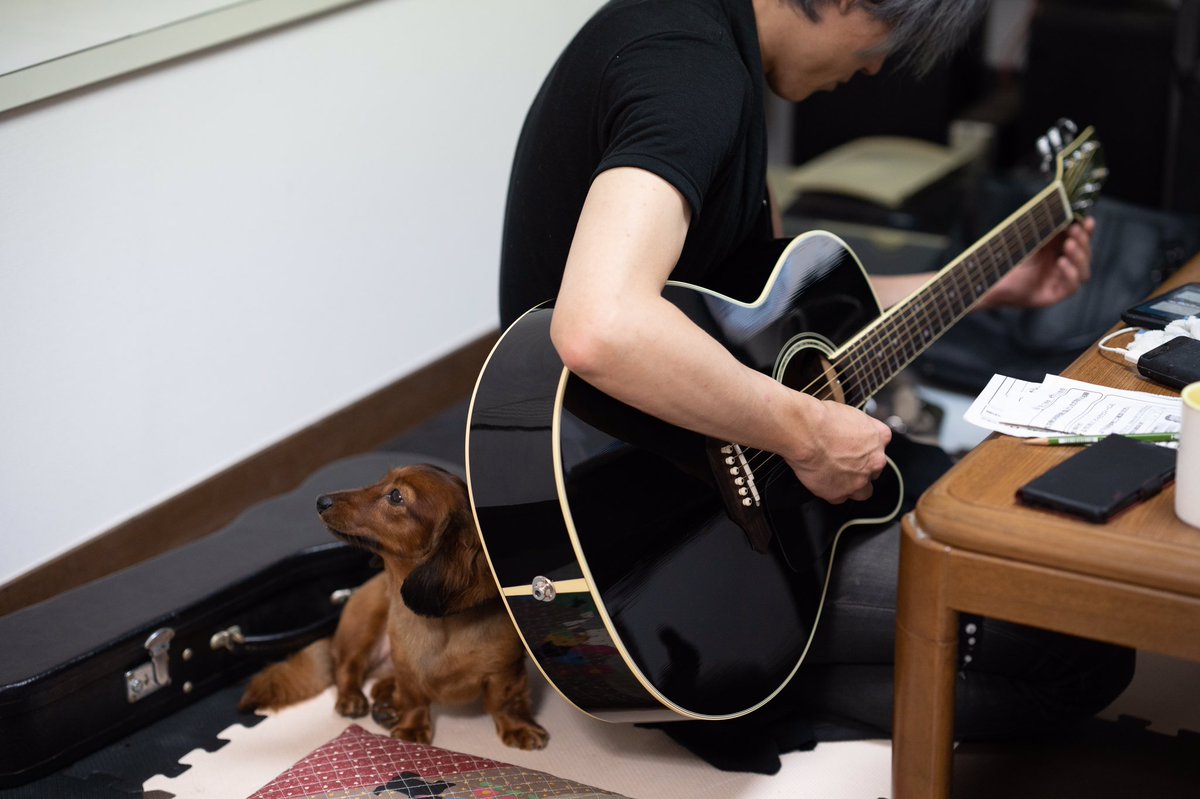 Ska ウェリタス 愛犬とギター こんな休日も良いよね 上京前は当たり前の光景が 犬バカ ギターと犬 カニンヘンダックスフント