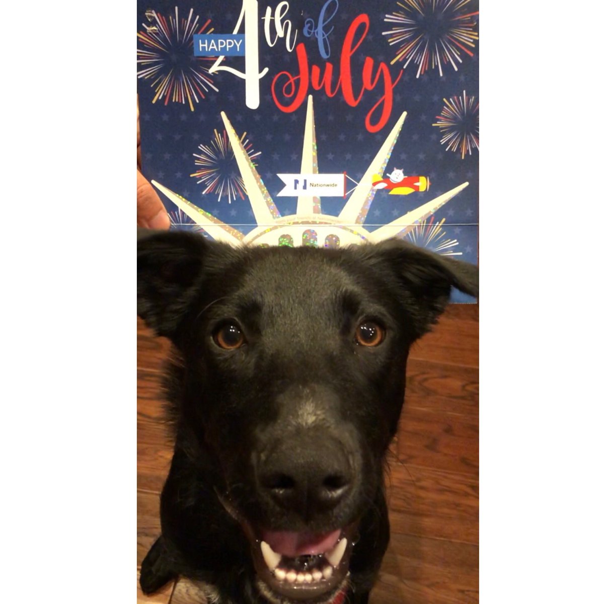 camillearmas's tweet photo. #julyFURthcontest @NationwidePet https://t.co/bP8AcHHsM3