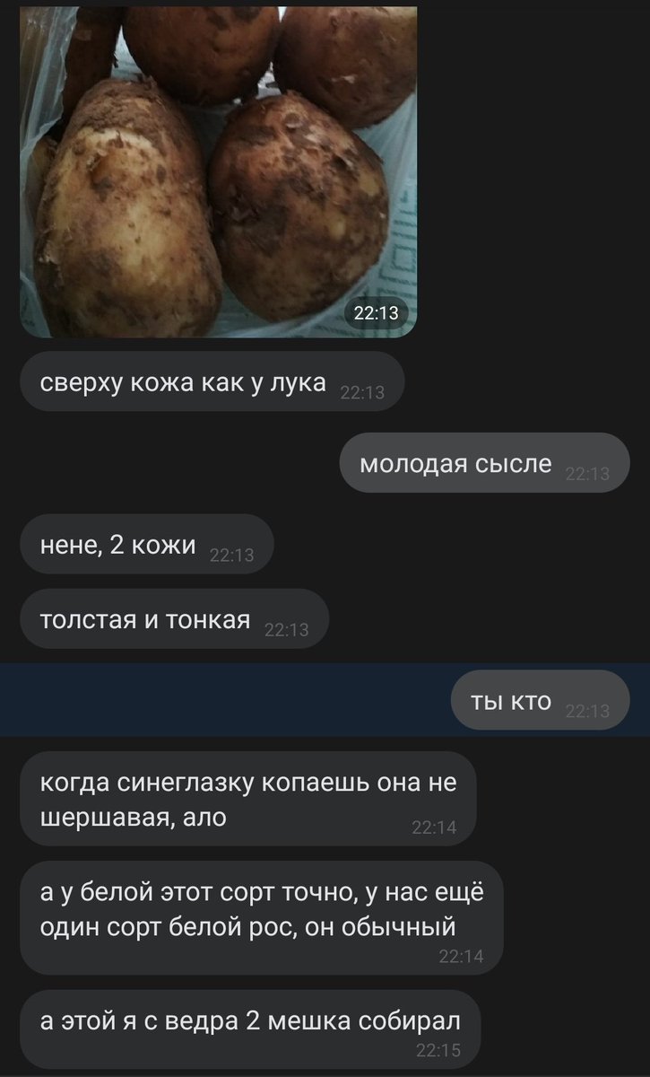 n0nsleeper's tweet photo. @bo_brick @ShuShuOw это лучше https://t.co/FygOYwjCdQ